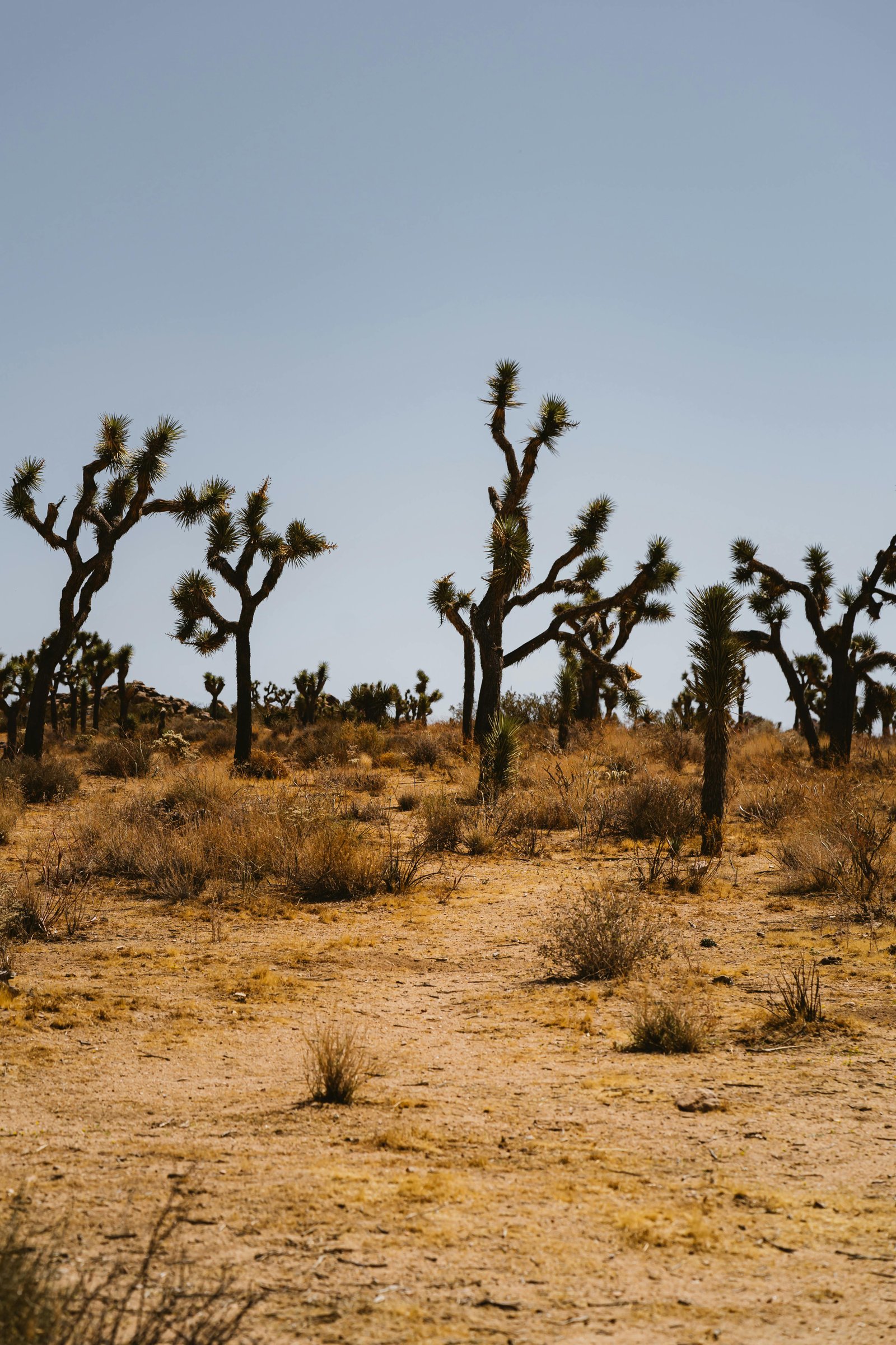 Residential window washing service — clean home windows in Sierra Vista Arizona high desert