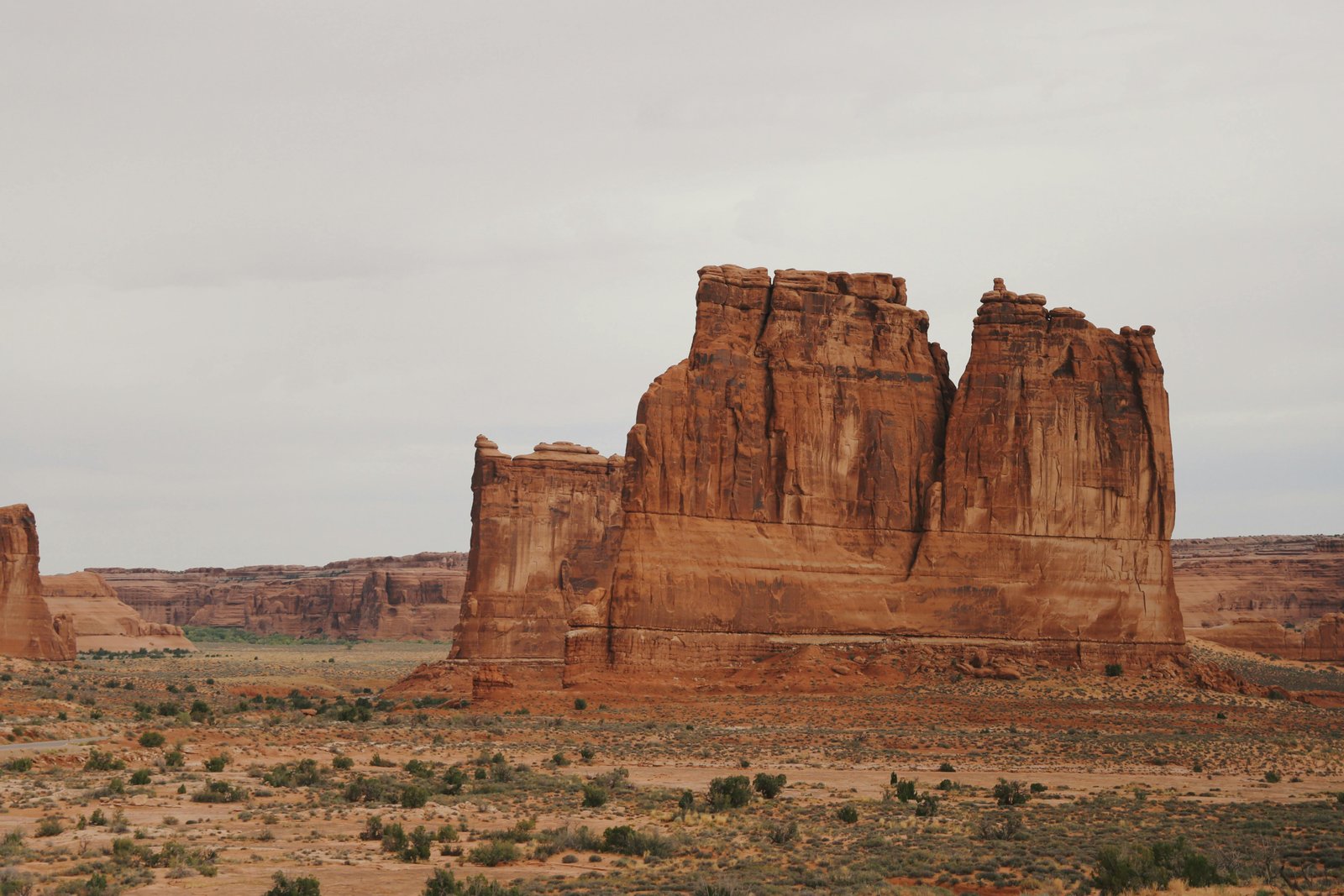 Arizona high desert landscape near Sierra Vista — saguaro cacti and Chihuahuan Desert typical of Cochise County AZ